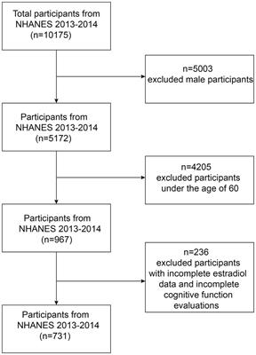 Association between serum estradiol levels and cognitive function in older women: a cross-sectional analysis